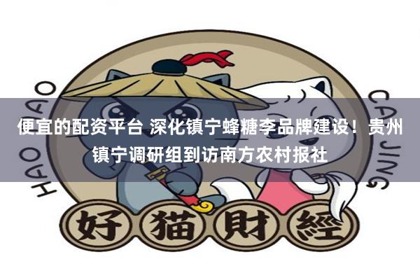 便宜的配资平台 深化镇宁蜂糖李品牌建设！贵州镇宁调研组到访南方农村报社