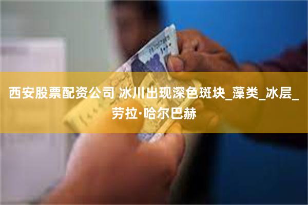 西安股票配资公司 冰川出现深色斑块_藻类_冰层_劳拉·哈尔巴赫