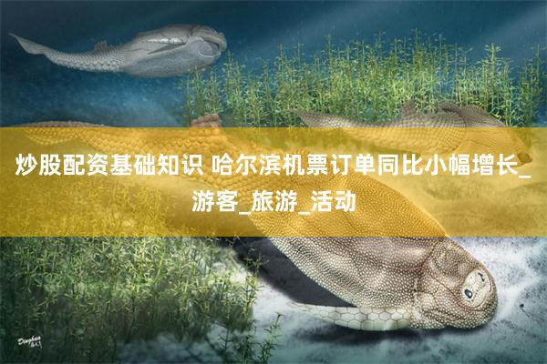 炒股配资基础知识 哈尔滨机票订单同比小幅增长_游客_旅游_活动