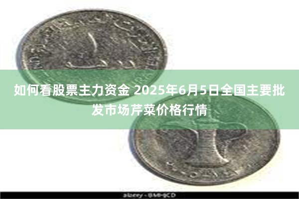 如何看股票主力资金 2025年6月5日全国主要批发市场芹菜价格行情