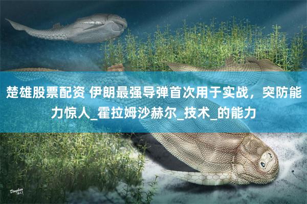 楚雄股票配资 伊朗最强导弹首次用于实战，突防能力惊人_霍拉姆沙赫尔_技术_的能力