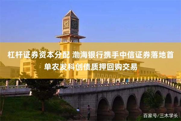 杠杆证券资本分配 渤海银行携手中信证券落地首单农发科创债质押回购交易