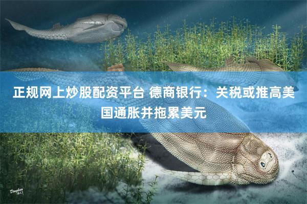 正规网上炒股配资平台 德商银行：关税或推高美国通胀并拖累美元
