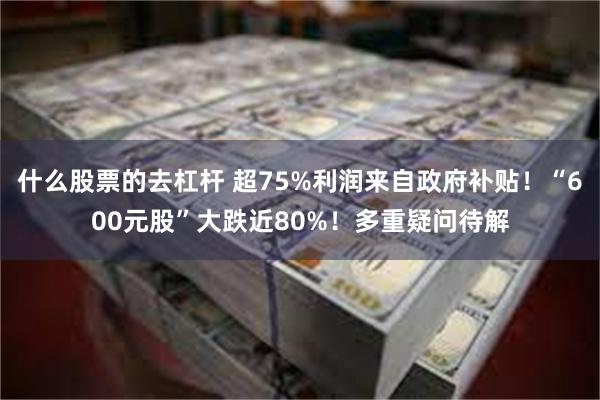 什么股票的去杠杆 超75%利润来自政府补贴！“600元股”大跌近80%！多重疑问待解